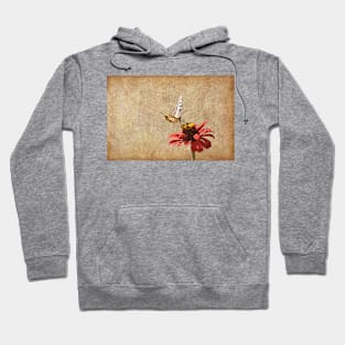 Nectarising - Butterfly Lands On A Flowerhead Hoodie